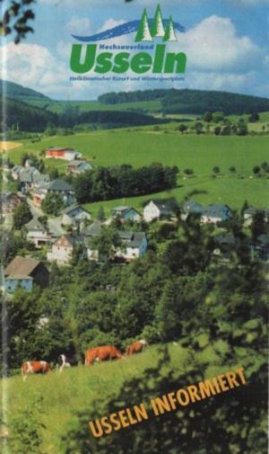 Ferienhaus Diemelquelle - Mit Eingezaeuntem Garten Willingen  Bagian luar foto