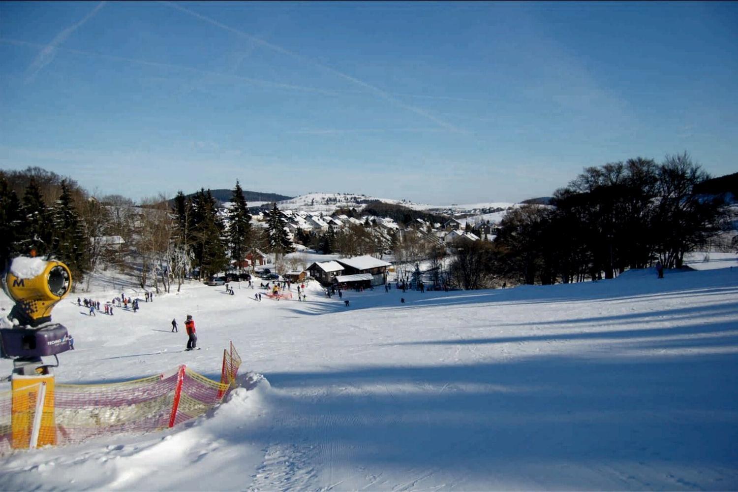 Ferienhaus Diemelquelle - Mit Eingezaeuntem Garten Willingen  Bagian luar foto