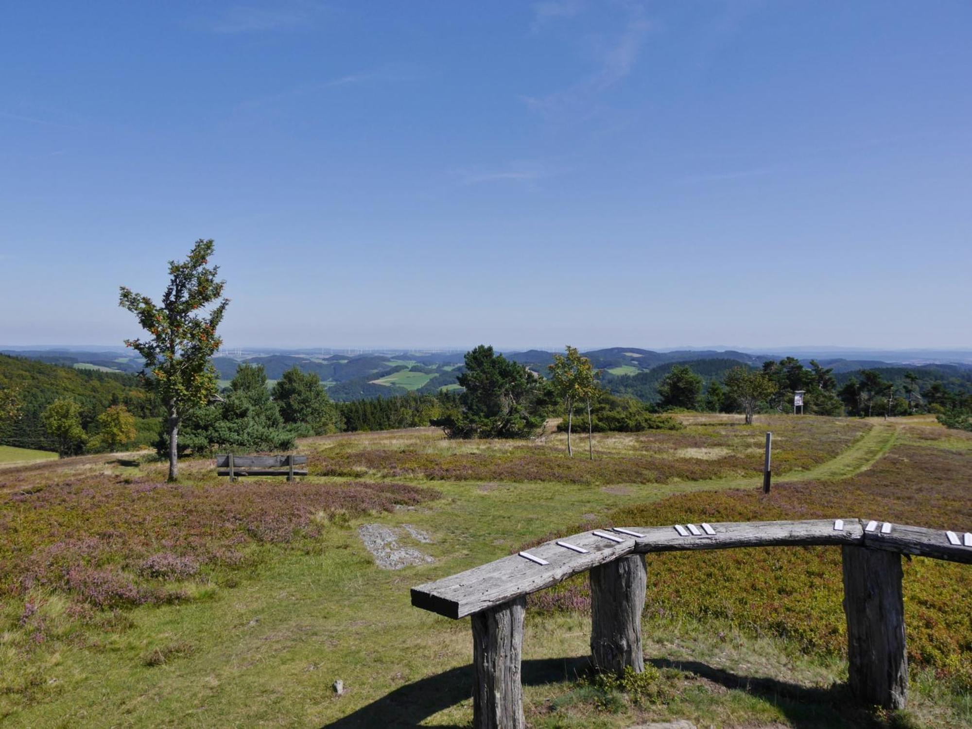 Ferienhaus Diemelquelle - Mit Eingezaeuntem Garten Willingen  Bagian luar foto