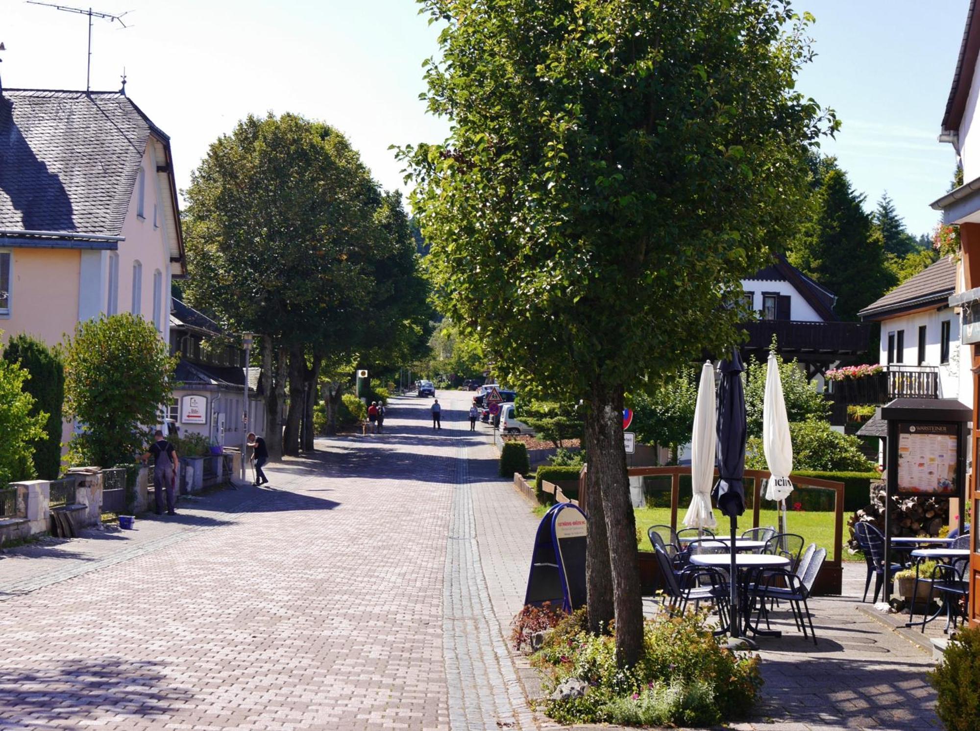 Ferienhaus Diemelquelle - Mit Eingezaeuntem Garten Willingen  Bagian luar foto
