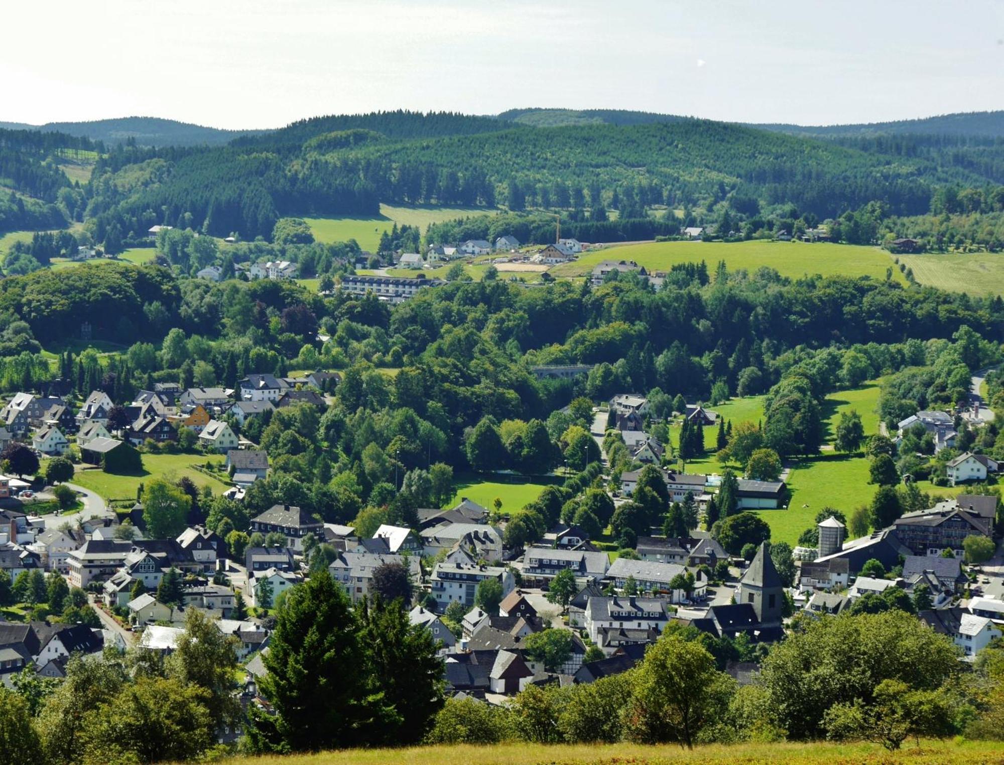 Ferienhaus Diemelquelle - Mit Eingezaeuntem Garten Willingen  Bagian luar foto
