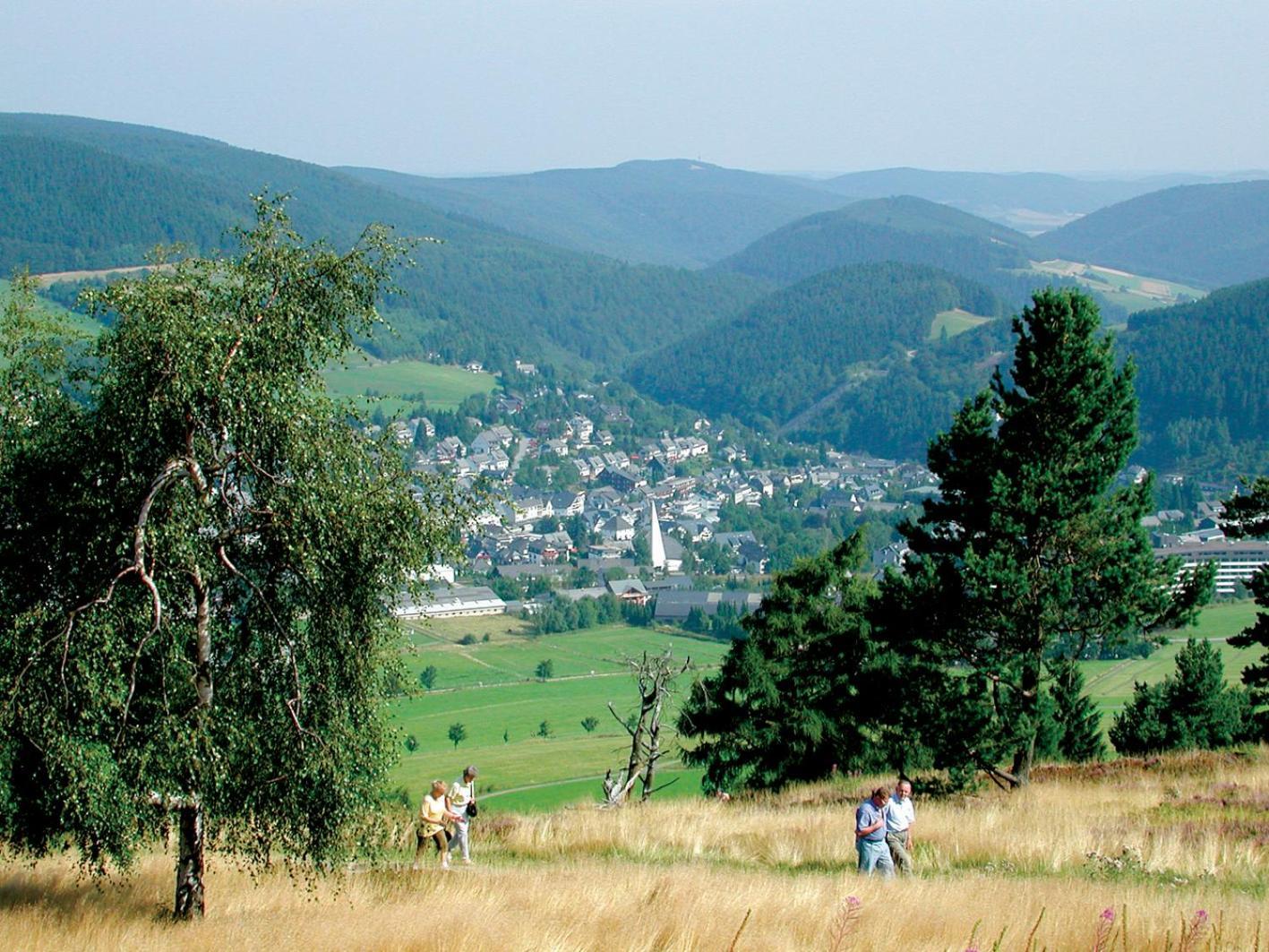 Ferienhaus Diemelquelle - Mit Eingezaeuntem Garten Willingen  Bagian luar foto