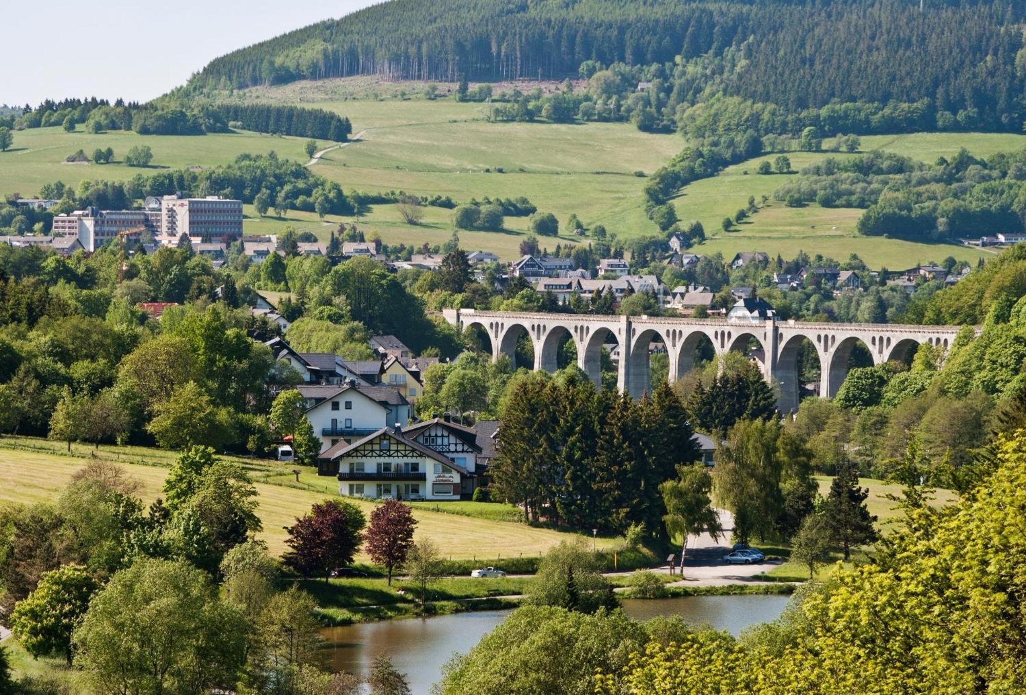 Ferienhaus Diemelquelle - Mit Eingezaeuntem Garten Willingen  Bagian luar foto